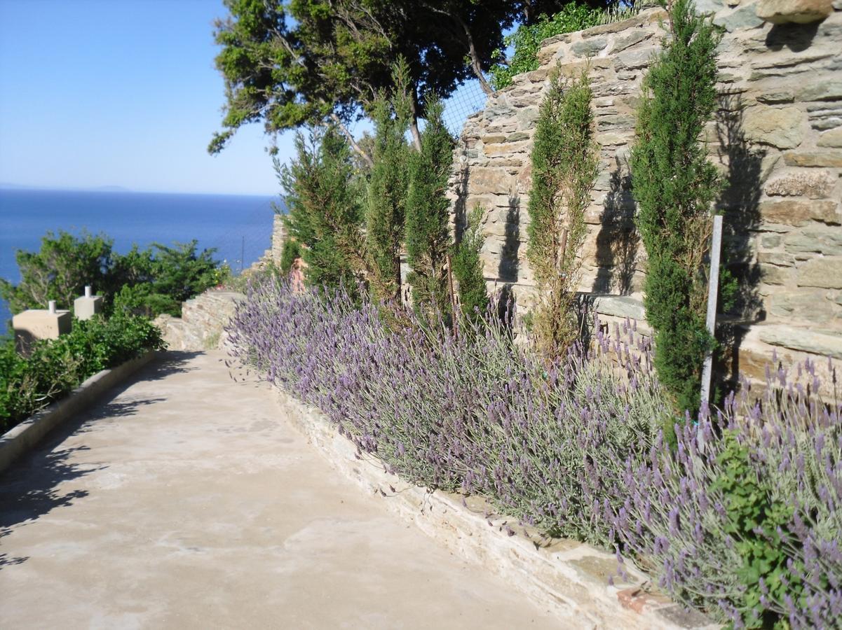 الشقق الفندقية Agia Eleousaفي  Aegean Castle Andros - Adults Only المظهر الخارجي الصورة